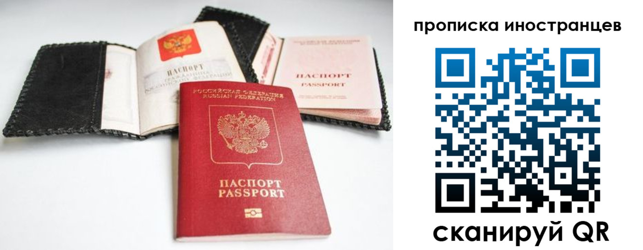 прописка паспорт в Куртамыше